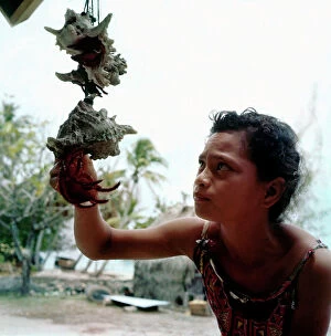 Images Dated 19th January 2012: Society Islands. Leeward Islands. The 'tamari': Polynesian boy and his world