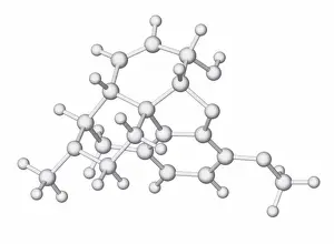 2012 Prints: Codeine Print, Molecular Model
