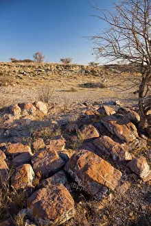 Fossilized River Bed Print