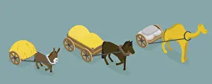 Flat Vector Illustration Prints: 3D Isometric Flat Vector Set of Draft Animals