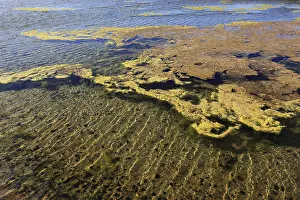 Punta De Fuencaliente Landscape Prints: Algae in the crystallisation pool