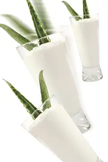 Alternative Medicine Prints: Aloe Vera and Yogurt Print