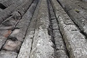 Northern Ireland Landscape Prints: Basalt columns at the cliffs by the Giant's Causeway