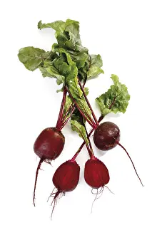 Beetroot Nutrition Prints: Beetroot
