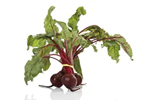 Beetroot Nutrition Prints: Beetroot