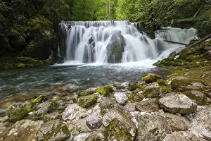 Prints of Bistrica stream with waterfall, Bohinjska Bistrica, Triglav National Park, Slovenia Slovenia Prints: Bistrica Stream with Waterfall Print, Bohinjska Bistrica, Slovenia