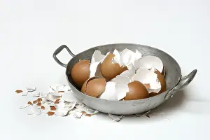 Broken Eggshells Prints: Broken eggshells in shells