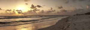 Prints of Golden sunset over the white sand of Clam Pass Beach to the ocean in Naples, Florida Italy Prints: Golden Sunset Print: Clam Pass Beach, Naples, Florida