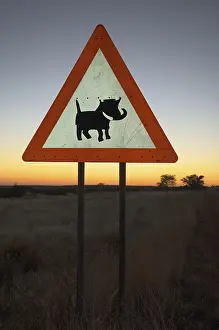 Prints of Caution label to beware of warthogs, Windhoek, Namibia, Africa Suidae Prints: Caution Label to Beware of Warthogs Print, Windhoek, Namibia