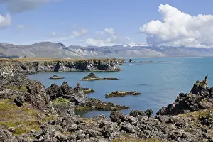 Daytime Ocean Views Europe Prints: Cliffs at Arnarstapi, Snaefellsness
