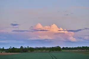Colored Clouds Germany Prints: Colored clouds at sunset, Upper Palatinate