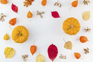 Thanksgiving Prints: Autumn Print: Top View Flat Lay Composition
