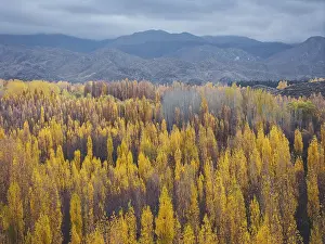 Mountainous Region Scenic View Prints: Default