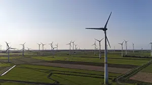 Wind Turbine View Prints: Default