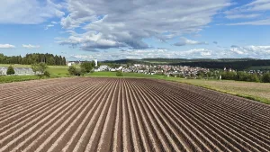 Deserted Field Cultivation Prints: Default