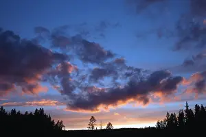 Evening Cloud Formations Prints: Dramatic clouds at sunset over pine trees and forests