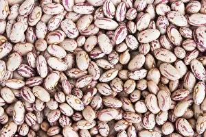 Close Up Bean Images Prints: Dried patterned beans