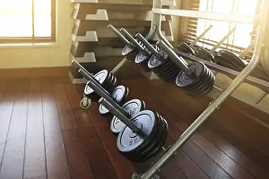 Sport Prints: Dumbbells in Modern Sports Club Print