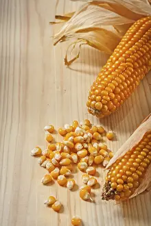 Gourmet Meal Ingredients Prints: Ears of corn composition