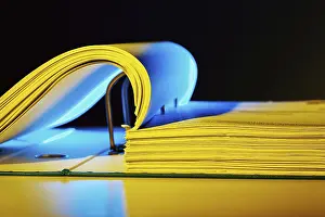 European Contract Files Prints: A file folder with documents and papers