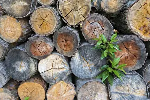 Firewood Stack Prints: Firewood stack