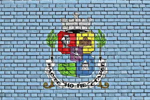Southeast Europe Flags Prints: Flag of Sofia painted on brick wall