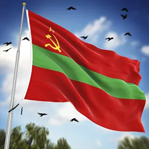 Framed Print : 3D Rendered Print of Transnistria State Flag Framed Print : 3D Rendered Print of Transnistria State Flag