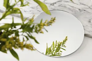 Surrealism Prints: Foliage Mirroring Mirror Print