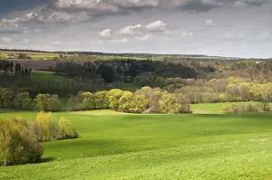 Thuringia Landscape Prints: Germany, Greiz, Thuringia, Thuringia