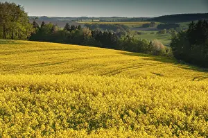 Central European Landscape Prints: Germany, Greiz, Thuringia, Thuringia