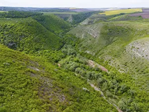 Prints of Green wooded valley surrounded by rolling green hills and fields under bright sky, aerial view, Tipova Gorge, Rezina region, Republic of Moldova, Moldova Moldova Prints: Aerial View of Tipova Gorge Print, Moldova