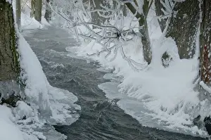 Thuringia Winter Landscape Prints: Greiz, Thuringia, Triebitzbach