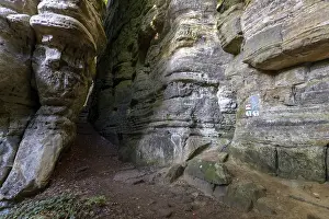 Prints of Hiking trail in sandstone cliffs, Mullerthal Trail, Berdorf, Luxembourg Map Prints: Luxembourg Sandstone Cliffs Hiking Trail Print