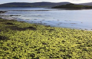 Isle Of Skye Prints: Inner Hebrides Print: Coral Beach Landscape, Isle of Skye