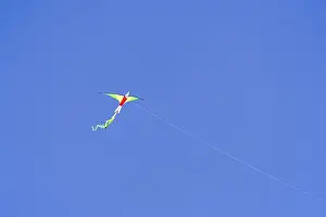 Autumn Landscape Prints: A kite