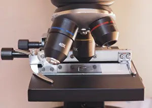 Deserted Table Setup Prints: Light microscope detail