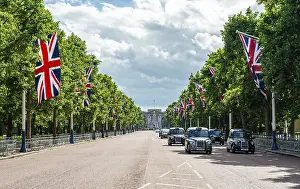 Prints of London taxis on the street The Mall with lined up Great Britain flags, in the back Buckingham Palace, City of Westminster, London, England, Great Britain Palace Prints: London Taxis in front of Buckingham Palace Print
