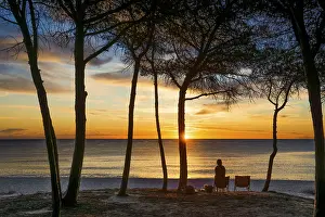 Sandy Ocean Beach Europe Prints: Lonely sandy beach and pine forest