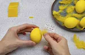 DIY Easter Egg Chick Prints: How to make a chick from eggs for Easter decor