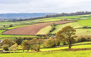Autumn In Devon Prints: Meadows and Fields over Devon in the colors of fall