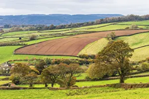 Autumn In Devon Prints: Meadows and Fields over Devon in the colors of fall