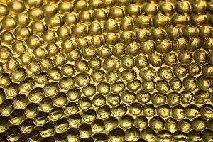 Metal Background Texture Prints: Metal surface as a background texture pattern