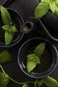 Mint Tea Still Life Prints: Mint tea