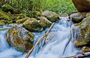 Mountain Creek Landscape Prints: Mountain streams