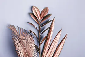 Surrealism Prints: Natural Tropical Leaf Print in Pink Metallic Colors