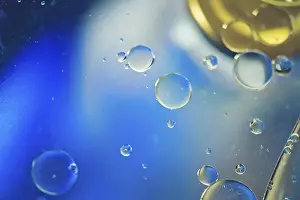 DNA Prints: Multicolored Oil Drops in Water Print