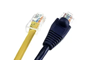 Network Cable Prints: Patch cable