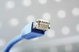 Computer Accessory Prints: Patch cable