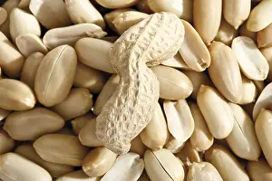 Food Photography Studio Background Prints: Peanuts, full format