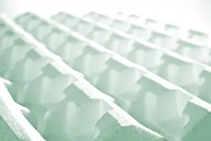 Detailed Still Life Image Prints: Polystyrene structure